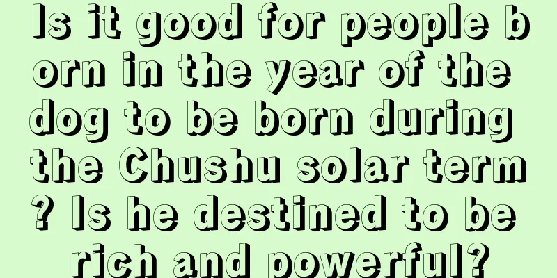 Is it good for people born in the year of the dog to be born during the Chushu solar term? Is he destined to be rich and powerful?