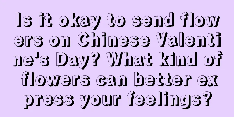 Is it okay to send flowers on Chinese Valentine's Day? What kind of flowers can better express your feelings?