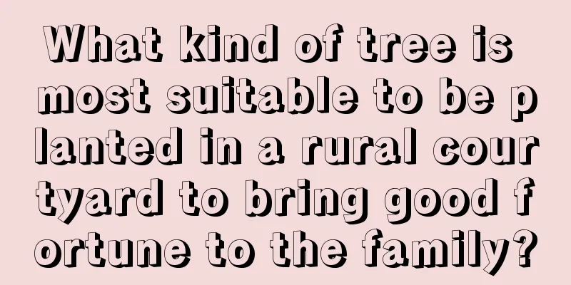 What kind of tree is most suitable to be planted in a rural courtyard to bring good fortune to the family?