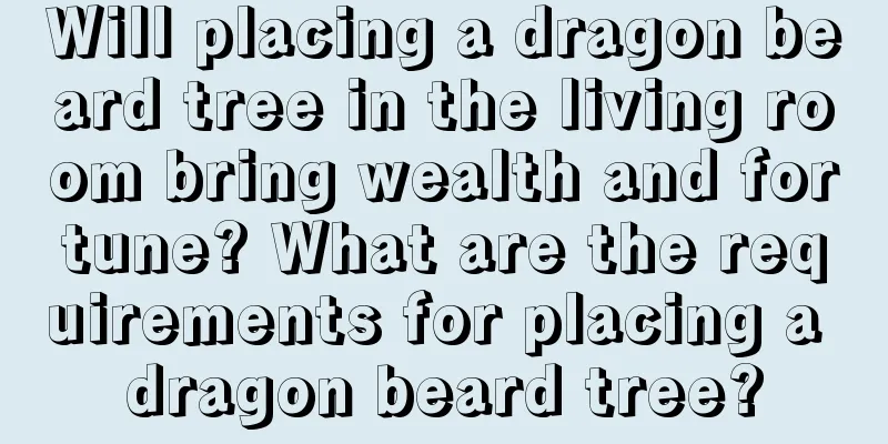 Will placing a dragon beard tree in the living room bring wealth and fortune? What are the requirements for placing a dragon beard tree?