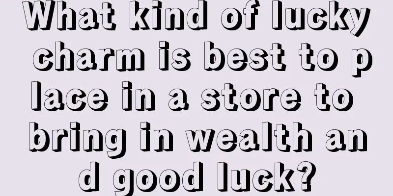 What kind of lucky charm is best to place in a store to bring in wealth and good luck?
