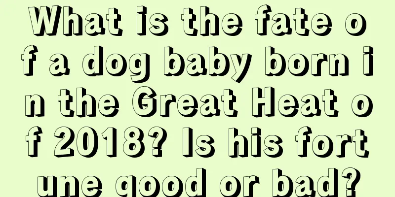 What is the fate of a dog baby born in the Great Heat of 2018? Is his fortune good or bad?