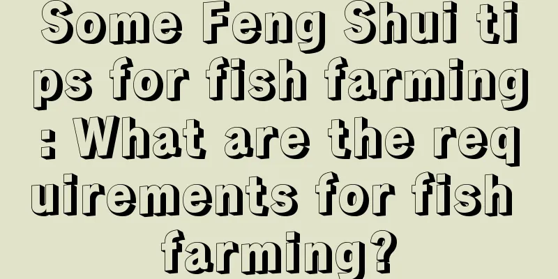 Some Feng Shui tips for fish farming: What are the requirements for fish farming?
