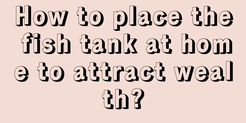 How to place the fish tank at home to attract wealth?