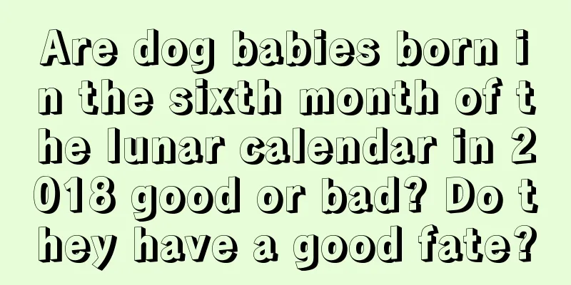Are dog babies born in the sixth month of the lunar calendar in 2018 good or bad? Do they have a good fate?