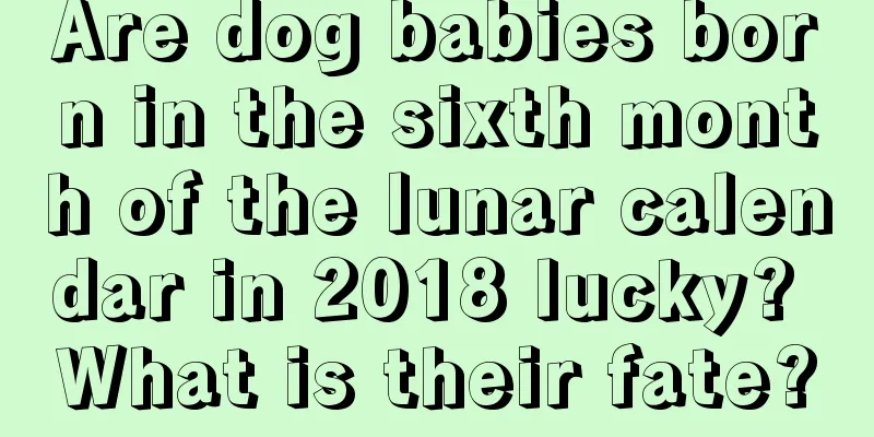 Are dog babies born in the sixth month of the lunar calendar in 2018 lucky? What is their fate?