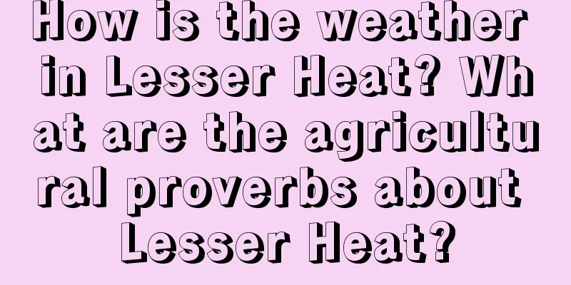 How is the weather in Lesser Heat? What are the agricultural proverbs about Lesser Heat?