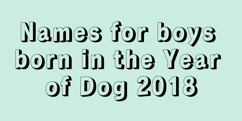 Names for boys born in the Year of Dog 2018