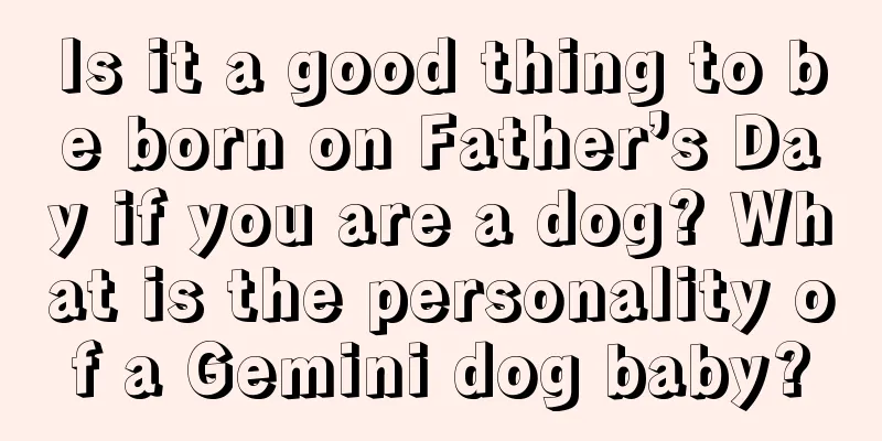 Is it a good thing to be born on Father’s Day if you are a dog? What is the personality of a Gemini dog baby?