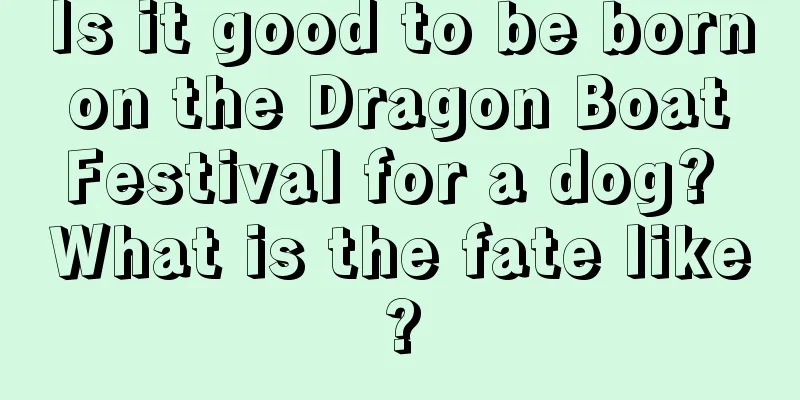 Is it good to be born on the Dragon Boat Festival for a dog? What is the fate like?