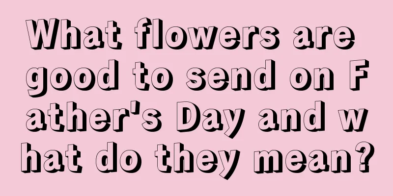 What flowers are good to send on Father's Day and what do they mean?