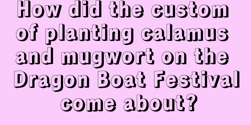 How did the custom of planting calamus and mugwort on the Dragon Boat Festival come about?