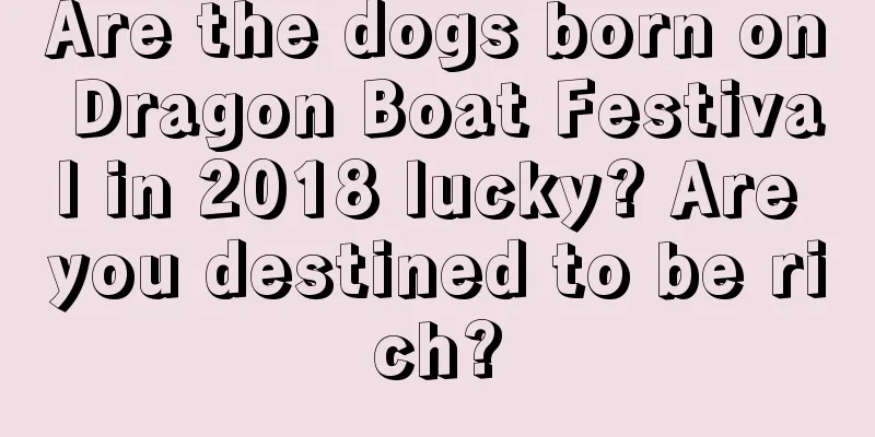 Are the dogs born on Dragon Boat Festival in 2018 lucky? Are you destined to be rich?