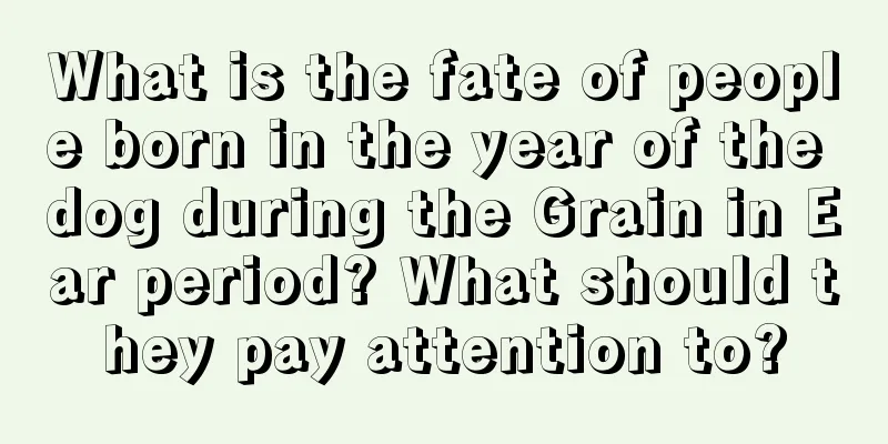 What is the fate of people born in the year of the dog during the Grain in Ear period? What should they pay attention to?
