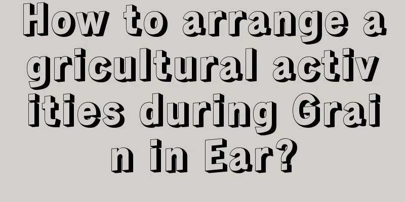 How to arrange agricultural activities during Grain in Ear?