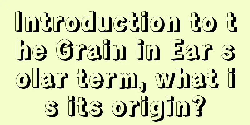 Introduction to the Grain in Ear solar term, what is its origin?