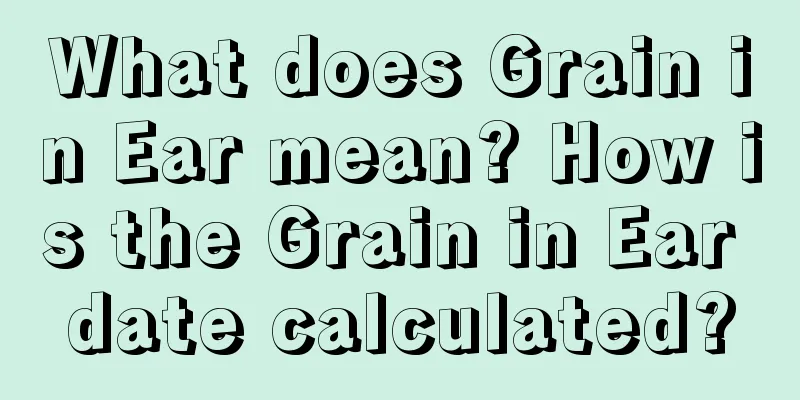 What does Grain in Ear mean? How is the Grain in Ear date calculated?