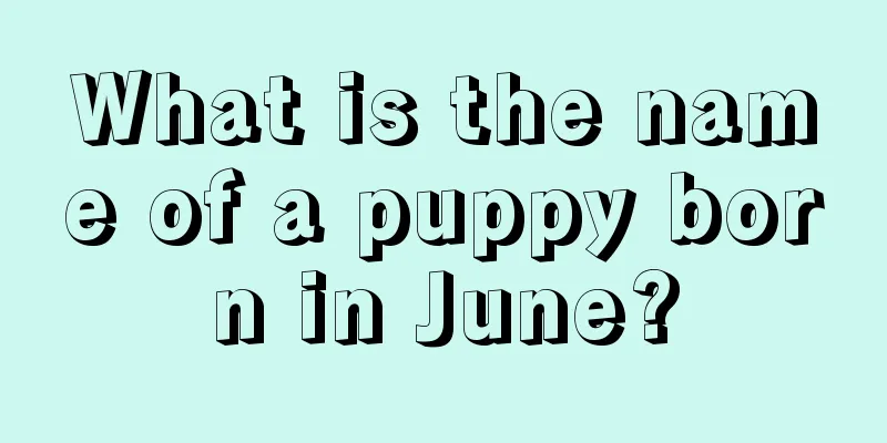 What is the name of a puppy born in June?