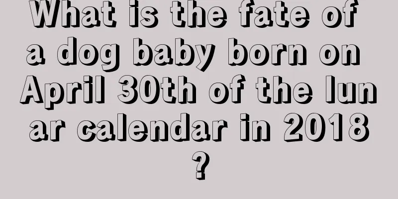 What is the fate of a dog baby born on April 30th of the lunar calendar in 2018?