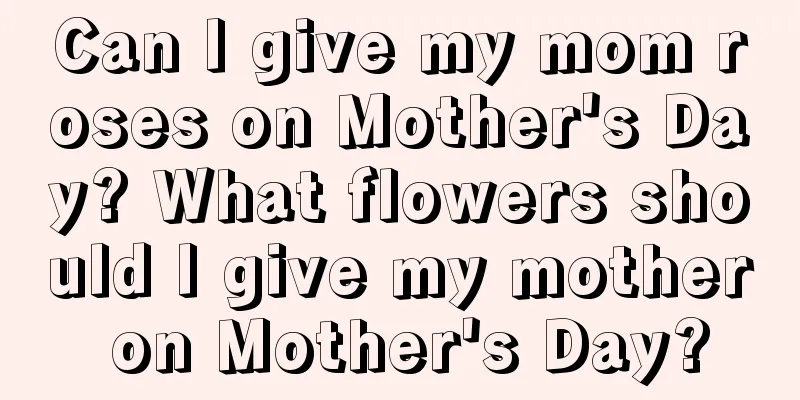 Can I give my mom roses on Mother's Day? What flowers should I give my mother on Mother's Day?