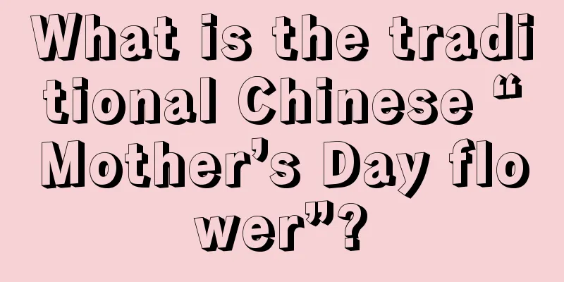 What is the traditional Chinese “Mother’s Day flower”?