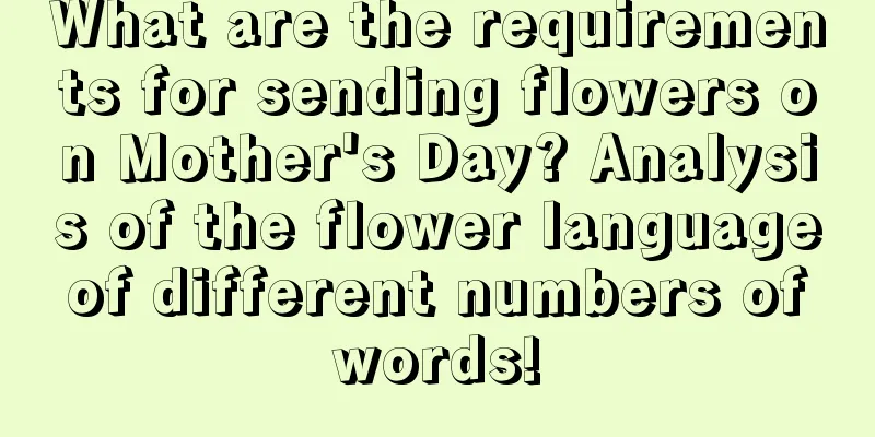 What are the requirements for sending flowers on Mother's Day? Analysis of the flower language of different numbers of words!