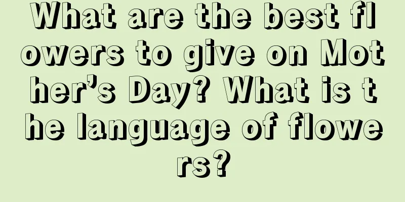 What are the best flowers to give on Mother’s Day? What is the language of flowers?