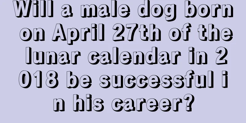 Will a male dog born on April 27th of the lunar calendar in 2018 be successful in his career?