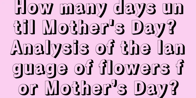 How many days until Mother's Day? Analysis of the language of flowers for Mother’s Day?