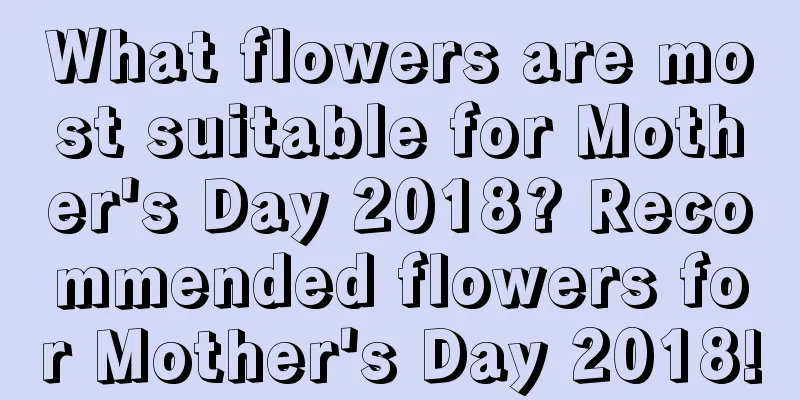 What flowers are most suitable for Mother's Day 2018? Recommended flowers for Mother's Day 2018!