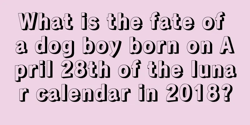 What is the fate of a dog boy born on April 28th of the lunar calendar in 2018?
