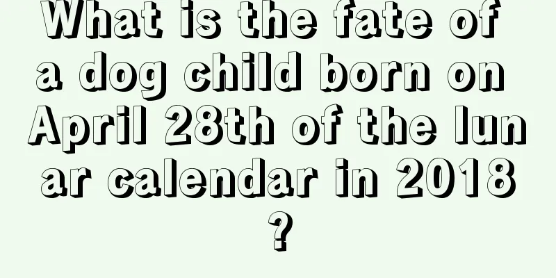 What is the fate of a dog child born on April 28th of the lunar calendar in 2018?