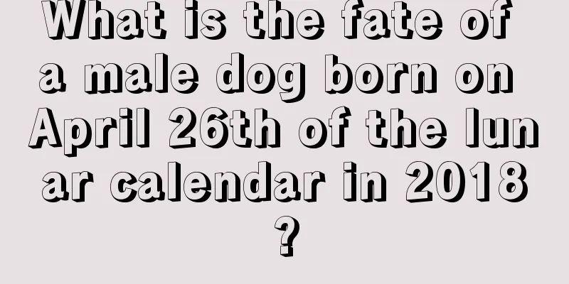 What is the fate of a male dog born on April 26th of the lunar calendar in 2018?