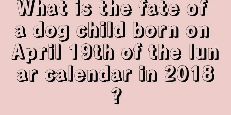 What is the fate of a dog child born on April 19th of the lunar calendar in 2018?