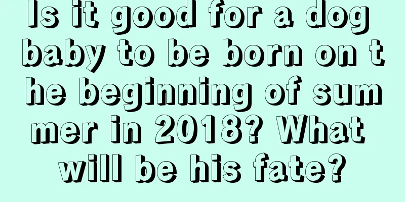 Is it good for a dog baby to be born on the beginning of summer in 2018? What will be his fate?