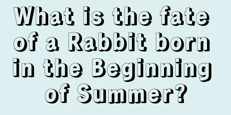 What is the fate of a Rabbit born in the Beginning of Summer?