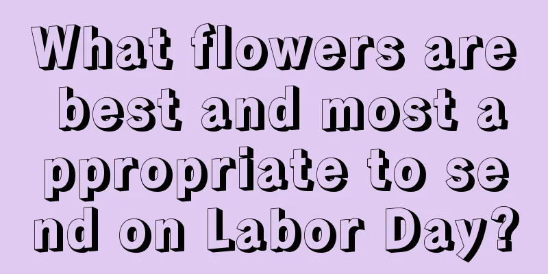 What flowers are best and most appropriate to send on Labor Day?