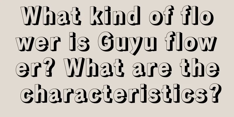 What kind of flower is Guyu flower? What are the characteristics?