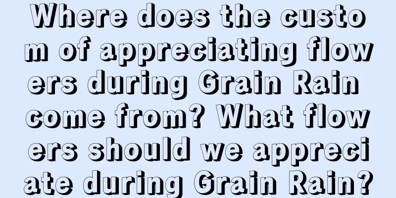 Where does the custom of appreciating flowers during Grain Rain come from? What flowers should we appreciate during Grain Rain?