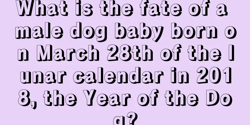 What is the fate of a male dog baby born on March 28th of the lunar calendar in 2018, the Year of the Dog?