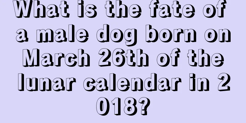 What is the fate of a male dog born on March 26th of the lunar calendar in 2018?