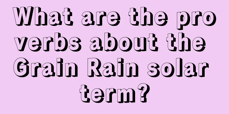 What are the proverbs about the Grain Rain solar term?