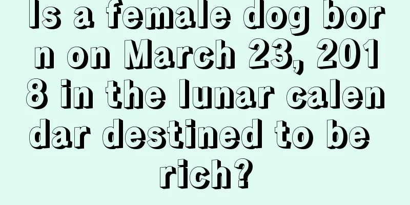 Is a female dog born on March 23, 2018 in the lunar calendar destined to be rich?