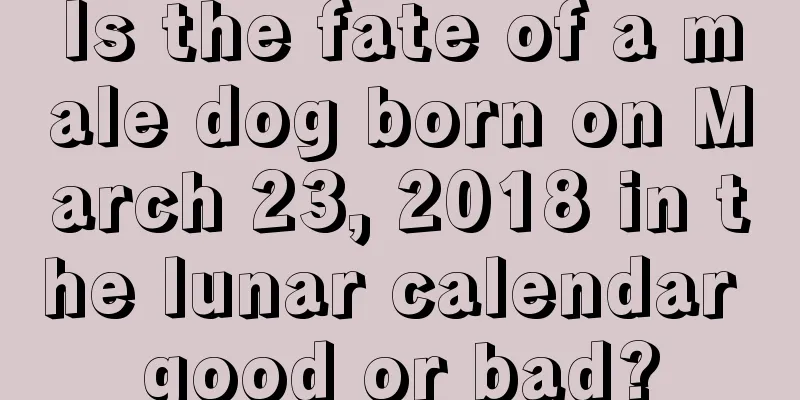 Is the fate of a male dog born on March 23, 2018 in the lunar calendar good or bad?