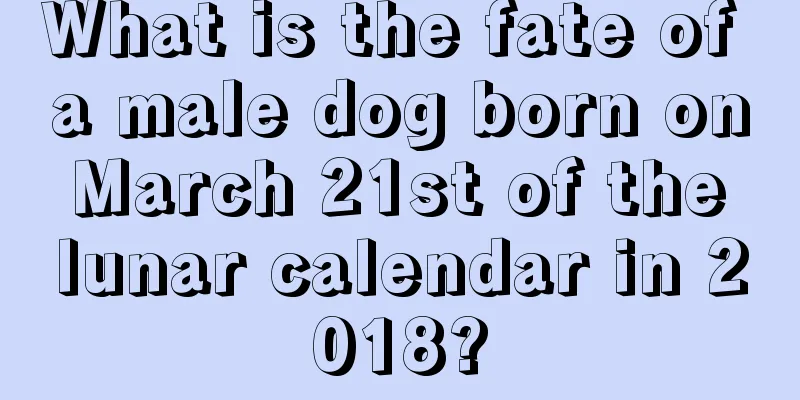 What is the fate of a male dog born on March 21st of the lunar calendar in 2018?