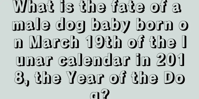 What is the fate of a male dog baby born on March 19th of the lunar calendar in 2018, the Year of the Dog?