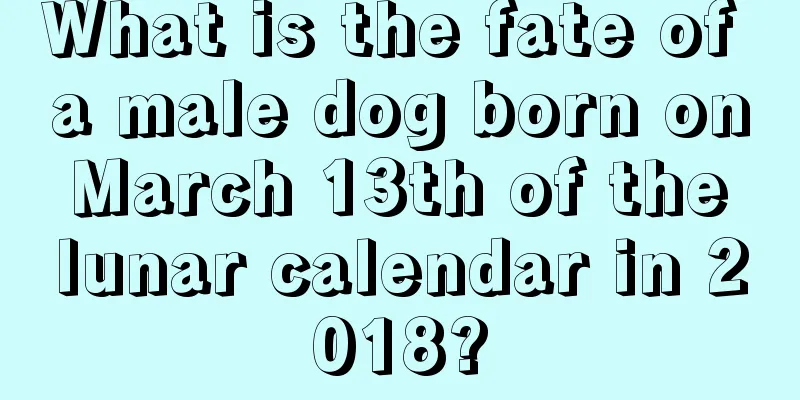 What is the fate of a male dog born on March 13th of the lunar calendar in 2018?