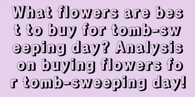 What flowers are best to buy for tomb-sweeping day? Analysis on buying flowers for tomb-sweeping day!
