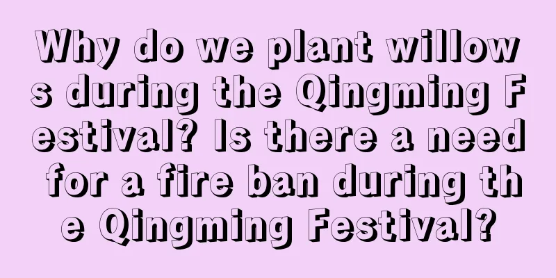 Why do we plant willows during the Qingming Festival? Is there a need for a fire ban during the Qingming Festival?