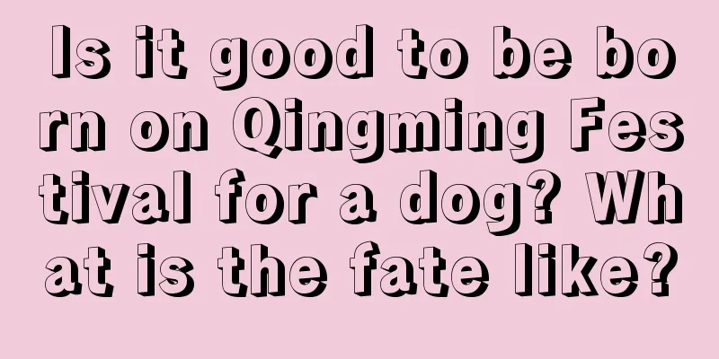 Is it good to be born on Qingming Festival for a dog? What is the fate like?